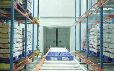 How 4-Way Pallet Shuttle Technology Empowers Cold Chain Warehousing