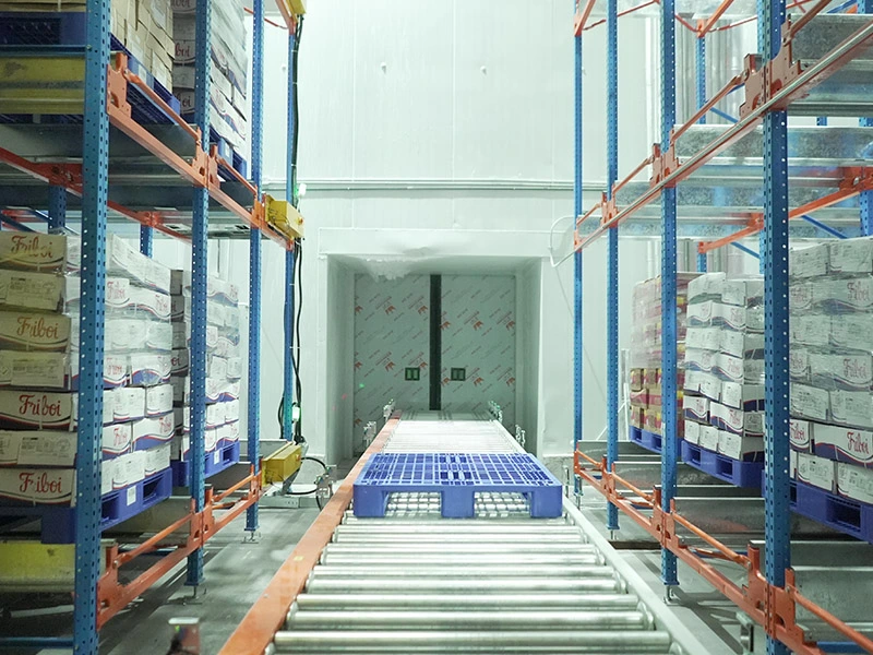 How 4-Way Pallet Shuttle Technology Empowers Cold Chain Warehousing